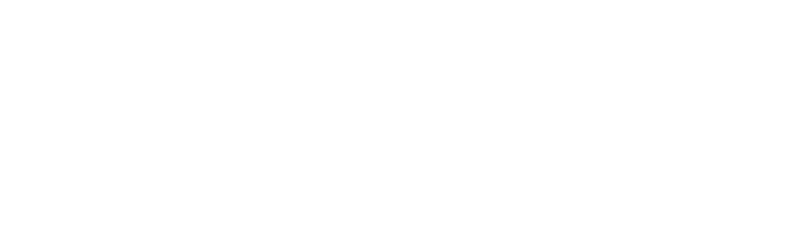 SENESCYT blanco